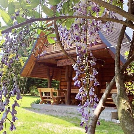 U Leona Villa Горлице Екстериор снимка
